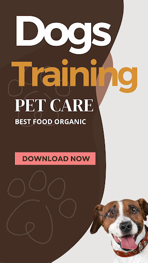 Premium Dog and Cat Training Screenshot 3