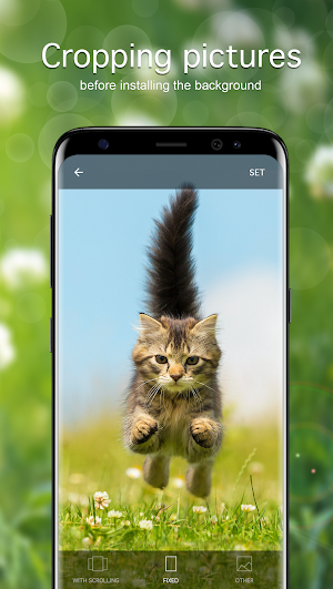 Cat Wallpapers & Kitten Backgrounds Screenshot 2
