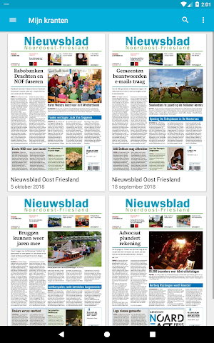 Nieuwsblad Noordoost Friesland Screenshot 2
