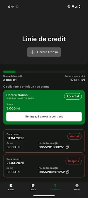 eCredit Screenshot 3
