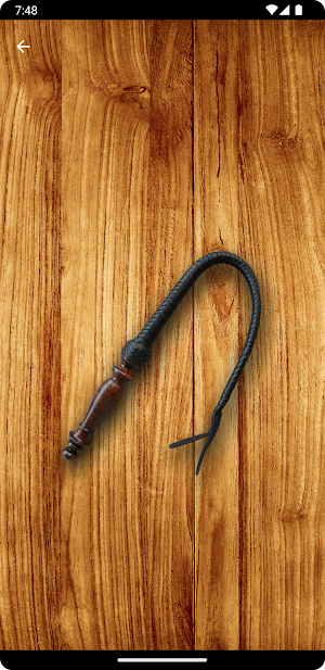 Whip Simulator - Pocket Whip Screenshot 2