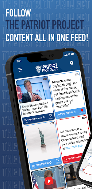 The Patriot Project Screenshot 0