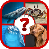 4 Pics Animal Quiz