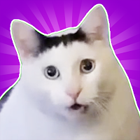 Huh Cat