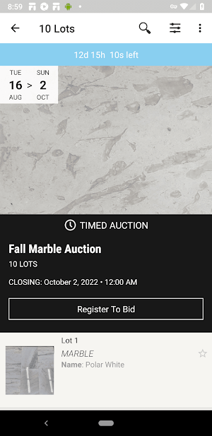 USA Stone Auction Screenshot 1