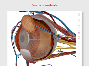 Anatomy & Physiology Screenshot 2