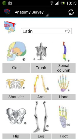 Human Anatomy Screenshot 0