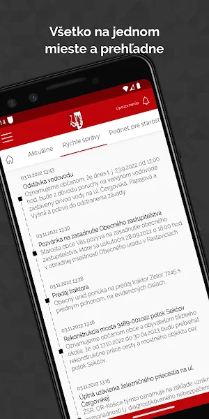 Raslavice Screenshot 1