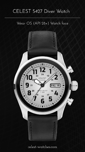 CELEST5427 Diver Watch Screenshot 3