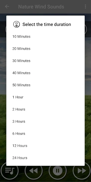 Relaxing Wind Sounds for Sleep Screenshot 2