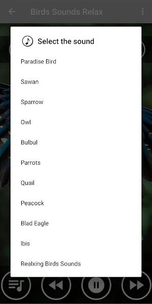 Relaxing Bird Chirping Sounds Screenshot 1