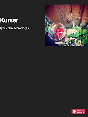 Gava Hund Screenshot 3