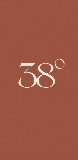 Studio38 Palma Screenshot 0