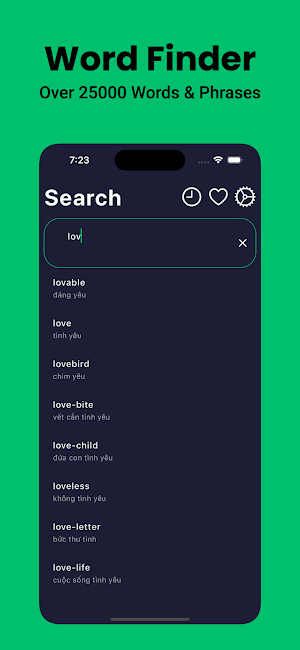 Vietnamese Dictionary English Screenshot 2