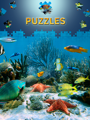 Free Dolphin Jigsaw Puzzles Screenshot 3