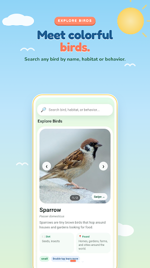Bird Quiz Offline Screenshot 1