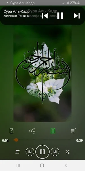 Сура Аль-Кадр аудио Screenshot 1