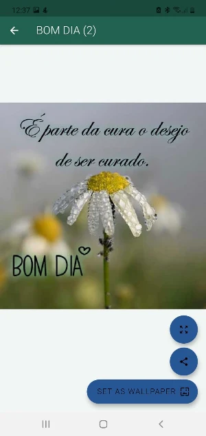 UM DIA MARAVILHOSO, UMA TARDE E UMA NOITE LINDA Screenshot 3