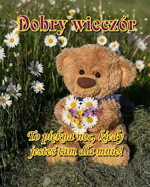 Dobry wieczór Screenshot 2