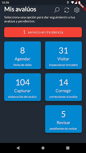 GYS Avaluos Screenshot 0