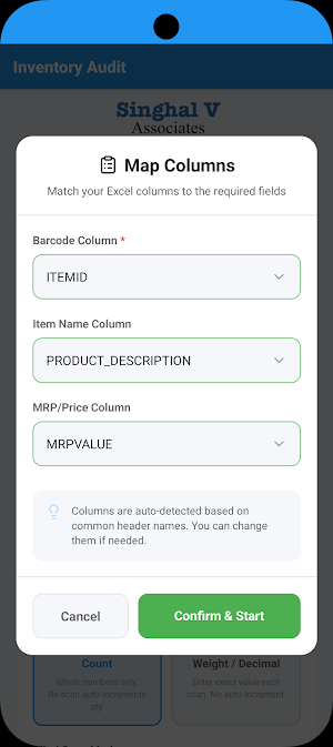 Singhal V Associates - Audit Screenshot 1