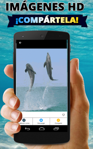 Fondos de pantalla de delfines Screenshot 3