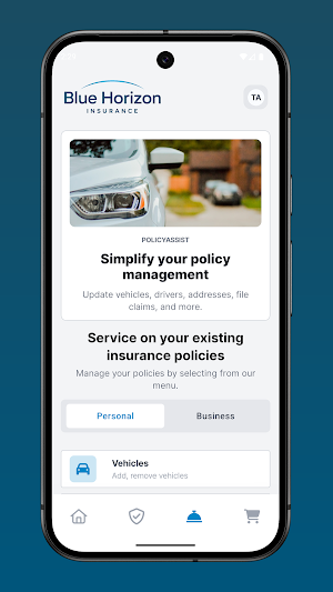Blue Horizon Insurance Screenshot 2