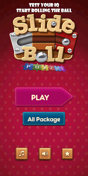 Slide The Ball - Roll The Ball Puzzle Screenshot 0