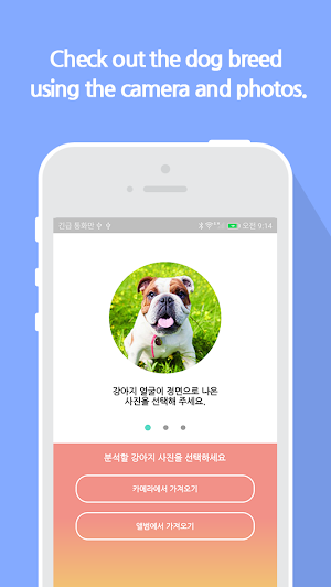 What is your dog? Screenshot 0