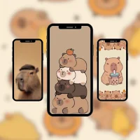 Cute Capybara Wallpaper HD