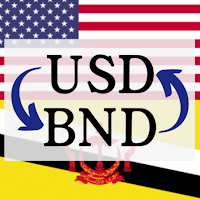 USD to BND