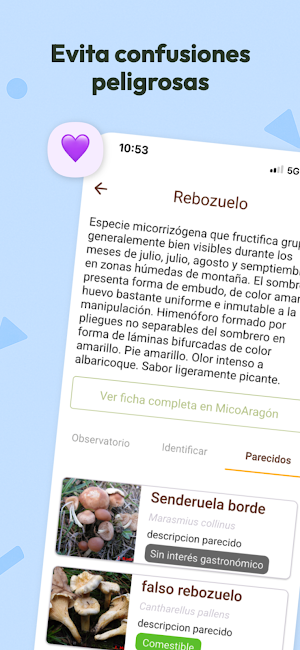Mycotour-Aragón Screenshot 3