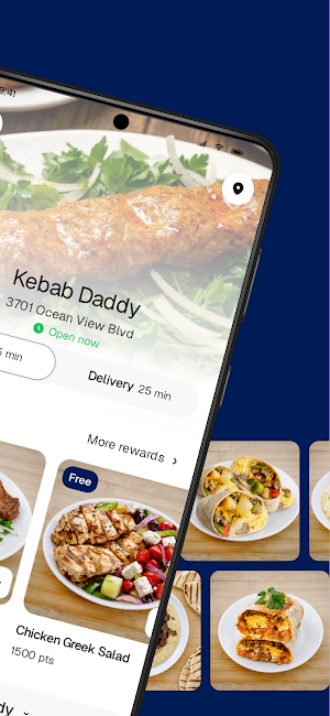 Kebab Daddy Screenshot 1