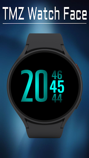 Counter Watch Face Screenshot 0