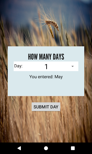 How Many Days Screenshot 2