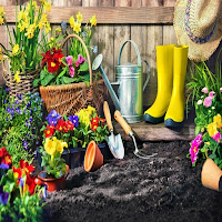 garden wallpapers