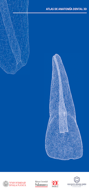 ATLAS DE ANATOMÍA DENTAL 3D Screenshot 2