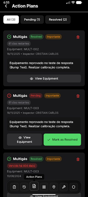 ISF Inspeções Screenshot 3