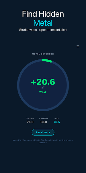 Magnetometer: EMF & Metal Screenshot 1
