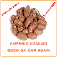 Amfanin Namijin Goro