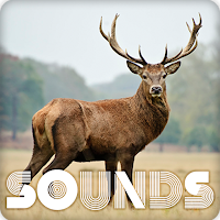 Deer Sound Ringtones