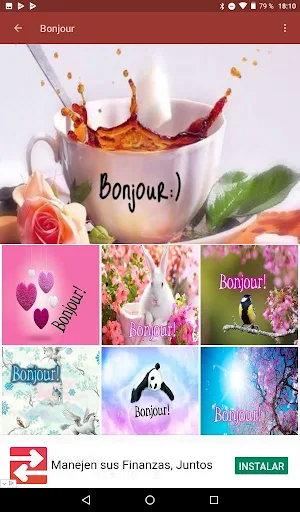 Bonjour Screenshot 2