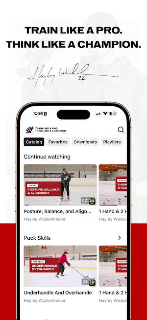 Wick Hockey Screenshot 0