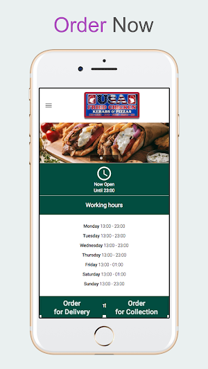 USA Fried Chicken Screenshot 2
