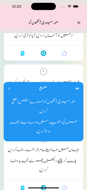 Safeena E Bakhshish Screenshot 3
