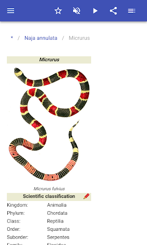 Venomous animals Screenshot 2