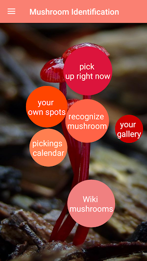 Mushroom Identification Screenshot 1