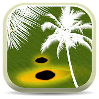 Palm Symptoms Key