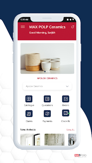 MaxPolo Ceramics Screenshot 1