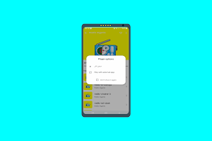 Algeria Radio - راديو الجزائر Screenshot 3